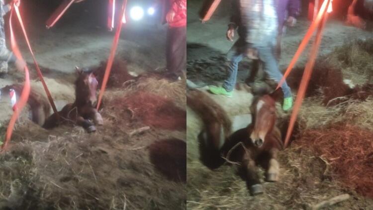 Αληθινοί ήρωες στις Σέρρες: Έσωσαν άλογο που είχε πέσει σε φρεάτιο με τη θερμοκρασία στους -8 βαθμούς!