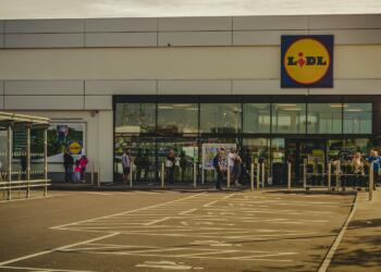 people walking on pedestrian lane during daytime