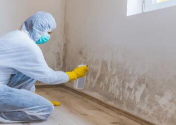 Δεν κάνει ούτε 2 ευρώ, το πληρώνουμε χρυσό: Αυτό είναι το μυστικό των συνεργείων καθαρισμού που εξαφανίζει την μούχλα από την υγρασία!