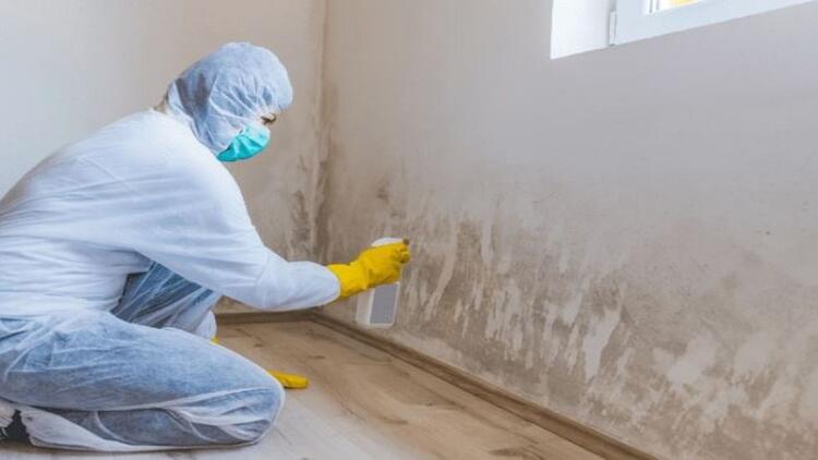 Δεν κάνει ούτε 2 ευρώ, το πληρώνουμε χρυσό: Αυτό είναι το μυστικό των συνεργείων καθαρισμού που εξαφανίζει την μούχλα από την υγρασία!