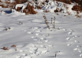 Καιρός: Σε ποιο μέρος της Ελλάδας θα πέσουν δύο μέτρα χιόνι