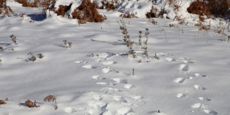 Καιρός: Σε ποιο μέρος της Ελλάδας θα πέσουν δύο μέτρα χιόνι