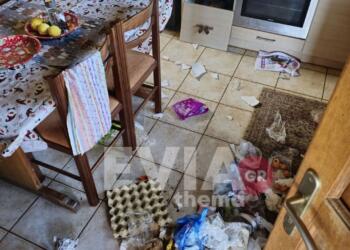 Εύβοια: Γνωστός μπασκετμπολίστας ο ένας από τους δολοφόνους του 66χρονου