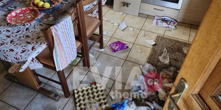 Εύβοια: Γνωστός μπασκετμπολίστας ο ένας από τους δολοφόνους του 66χρονου