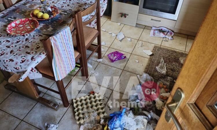 Εύβοια: Γνωστός μπασκετμπολίστας ο ένας από τους δολοφόνους του 66χρονου