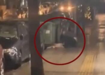 «Σπαρταρούσε από τον πόνο, φώναζε, σαν άνθρωπος έκανε»: Συγκλονιστική μαρτυρία για τον σκύλο που μαχαίρωσε 47χρονος στην Κυψέλη