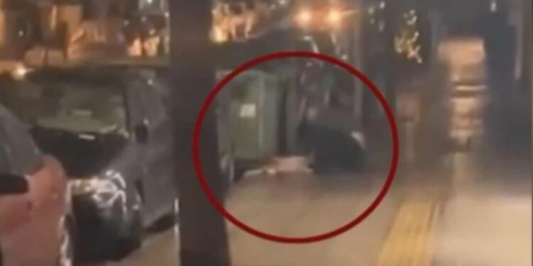 «Σπαρταρούσε από τον πόνο, φώναζε, σαν άνθρωπος έκανε»: Συγκλονιστική μαρτυρία για τον σκύλο που μαχαίρωσε 47χρονος στην Κυψέλη