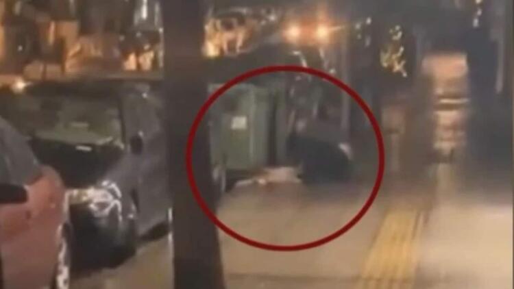 «Σπαρταρούσε από τον πόνο, φώναζε, σαν άνθρωπος έκανε»: Συγκλονιστική μαρτυρία για τον σκύλο που μαχαίρωσε 47χρονος στην Κυψέλη