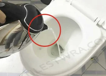 Με το που μπείτε σε δωμάτιο ξενοδοχείου βράστε νερό και ρίξτε το αμέσως στη τουαλέτα