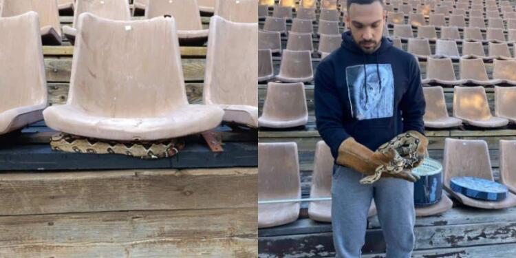 Μη σου τύχει: Βρήκαν βόα σφιγκτήρα σε θέατρο στου Φιλοπάππου (photos)