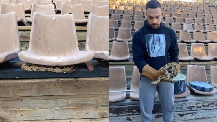 Μη σου τύχει: Βρήκαν βόα σφιγκτήρα σε θέατρο στου Φιλοπάππου (photos)