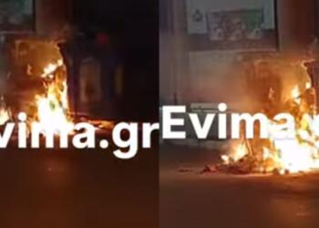 Φρικωδία στην Εύβοια: Απάνθρωποι έκαψαν κουτάβια σε κάδο (video)