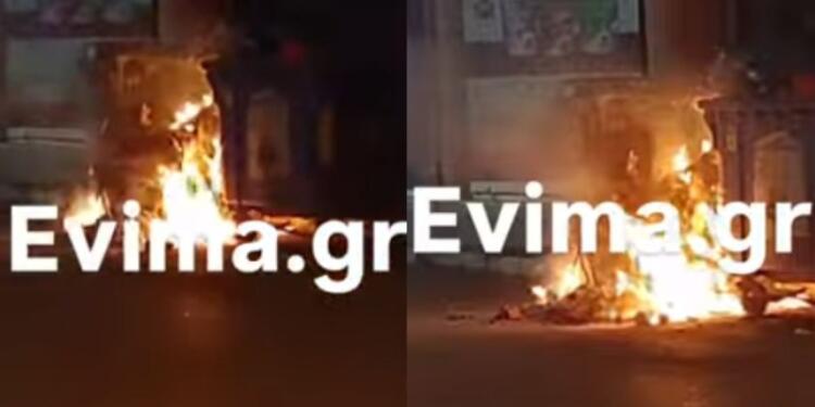 Φρικωδία στην Εύβοια: Απάνθρωποι έκαψαν κουτάβια σε κάδο (video)