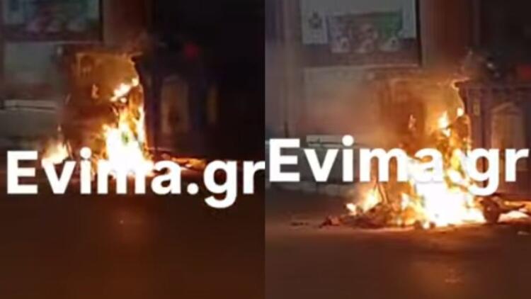 Φρικωδία στην Εύβοια: Απάνθρωποι έκαψαν κουτάβια σε κάδο (video)