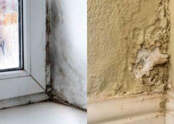 Υγρασία και μούχλα τέλος: Το “μυστικό” υλικό της κουζίνας που δεν φαντάζεστε ότι μπορεί να σας λύσει τα χέρια