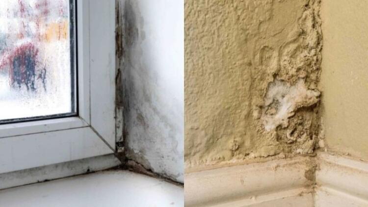 Υγρασία και μούχλα τέλος: Το “μυστικό” υλικό της κουζίνας που δεν φαντάζεστε ότι μπορεί να σας λύσει τα χέρια