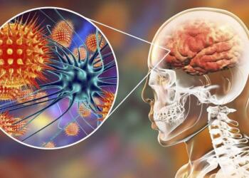 Μηνιγγίτιδα: Γιατί ο ξαφνικός θάνατος του 20χρονου προκαλεί έντονη ανησυχία για νέο… εμβολιασμό; Οι φόβοι των γιατρών