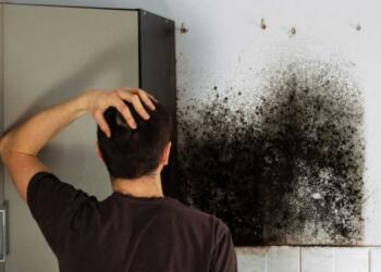 Μούχλα και υγρασία στους τοίχους: Το κόλπο των ειδικών με 3 υλικά για να κάτασπρο σπίτι