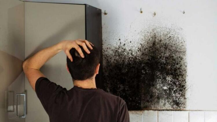 Μούχλα και υγρασία στους τοίχους: Το κόλπο των ειδικών με 3 υλικά για να κάτασπρο σπίτι