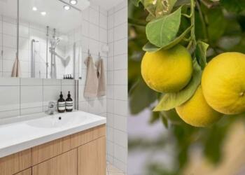 Πεντακάθαρο μπάνιο στην στιγμή: Σπιτικό καθαριστικό για την ντουζιέρα με λεμόνι και ξύδι που κοστίζει κάτω από 2 ευρώ