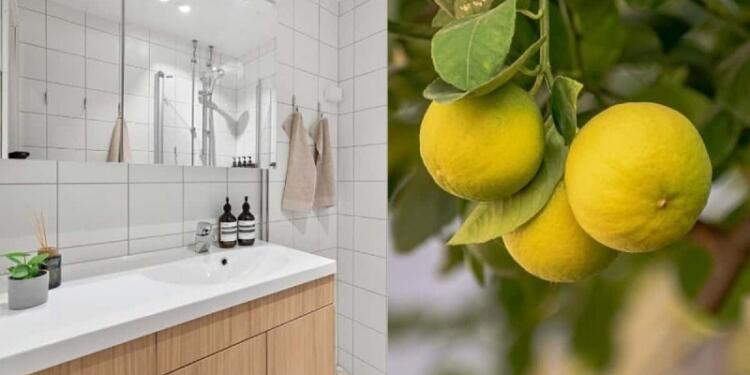 Πεντακάθαρο μπάνιο στην στιγμή: Σπιτικό καθαριστικό για την ντουζιέρα με λεμόνι και ξύδι που κοστίζει κάτω από 2 ευρώ