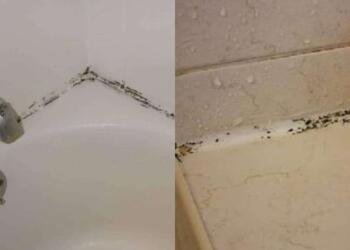 Μούχλα… είχαμε: Το αλάνθαστο κόλπο για να την εξαφανίσετε από το μπάνιο με 1 υλικό