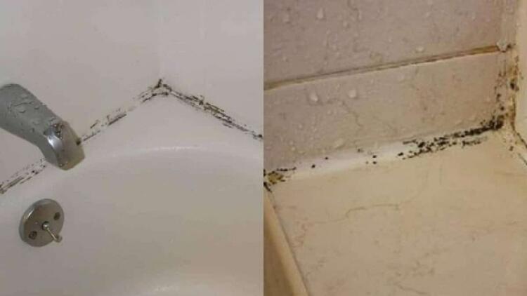 Μούχλα… είχαμε: Το αλάνθαστο κόλπο για να την εξαφανίσετε από το μπάνιο με 1 υλικό