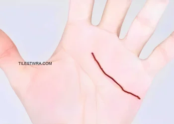 Οι γραμμές στα χέρια μας αποκαλύπτουν πτυχές της προσωπικότητα μας και της υγείας μας.