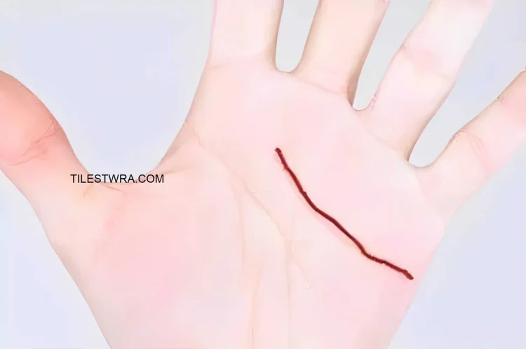 Οι γραμμές στα χέρια μας αποκαλύπτουν πτυχές της προσωπικότητα μας και της υγείας μας.