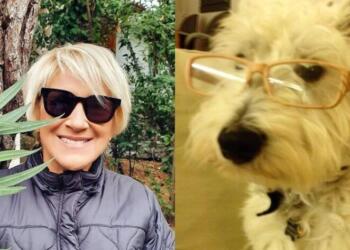 Αποκλειστικό: Πού βρίσκεται το σκυλάκι της Καίτης Κωνσταντίνου μετά τον θάνατό της