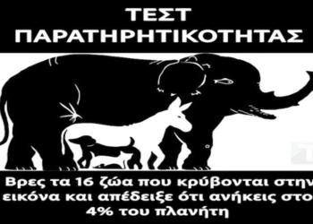 Τεστ παρατηρητικότητας: Βρες τα 16 ζώα που κρύβονται στην εικόνα και απέδειξε ότι ανήκεις στο 4% του πλανήτη
