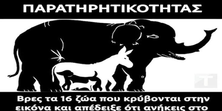 Τεστ παρατηρητικότητας: Βρες τα 16 ζώα που κρύβονται στην εικόνα και απέδειξε ότι ανήκεις στο 4% του πλανήτη