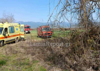 Εργατικό ατύχημα στον Σπερχειό: Άνδρας πήγε να κόψει μαραμένο πλάτανο και σκοτώθηκε από τεράστιο κλωνάρι