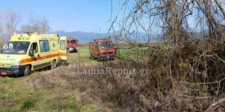 Εργατικό ατύχημα στον Σπερχειό: Άνδρας πήγε να κόψει μαραμένο πλάτανο και σκοτώθηκε από τεράστιο κλωνάρι