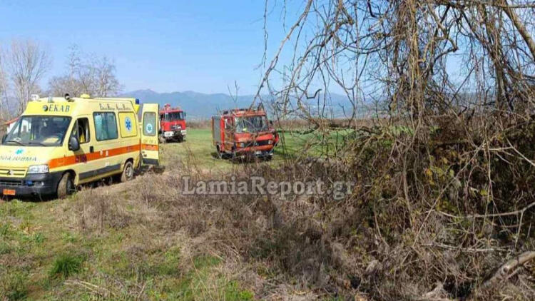 Εργατικό ατύχημα στον Σπερχειό: Άνδρας πήγε να κόψει μαραμένο πλάτανο και σκοτώθηκε από τεράστιο κλωνάρι