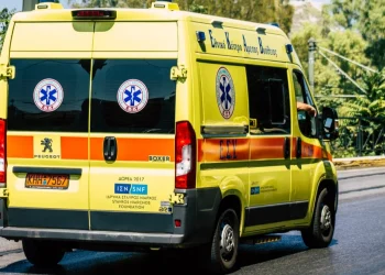 Κυνηγός δέχτηκε επίθεση από αγριογούρουνο – Στο νοσοκομείο ο άτυχος άνδρας