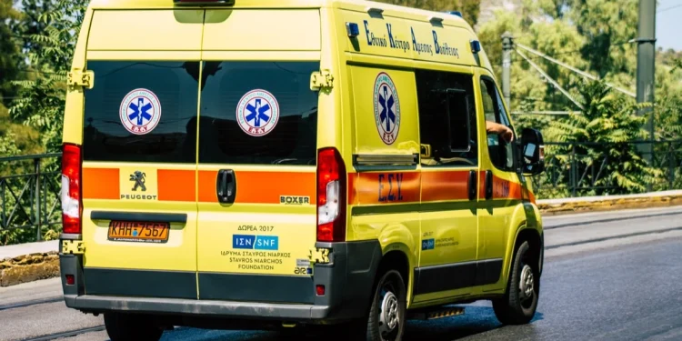 Κυνηγός δέχτηκε επίθεση από αγριογούρουνο – Στο νοσοκομείο ο άτυχος άνδρας