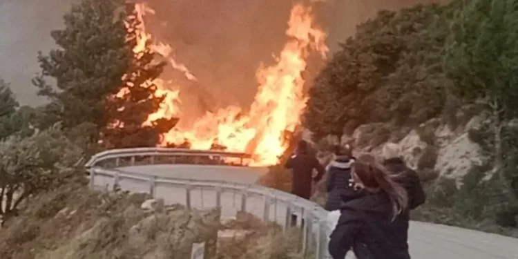 Φωτιά στη Λευκάδα – Μήνυμα του 112, εκκενώνουν τον Άγιο Νικήτα