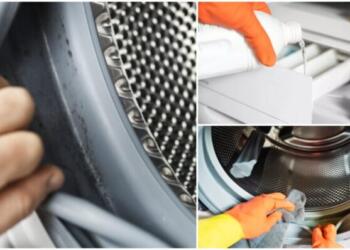 Πλυντήριο ρούχων: Εξαφάνισε σε 10 λεπτά τη μούχλα στη πόρτα με 3 απλά υλικά