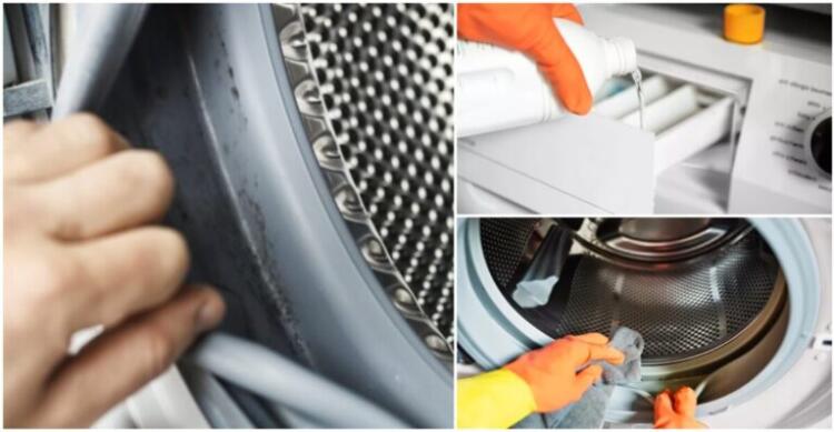 Πλυντήριο ρούχων: Εξαφάνισε σε 10 λεπτά τη μούχλα στη πόρτα με 3 απλά υλικά