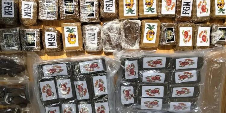 Συναγερμός στις Αρχές: Γιος μεγαλογιατρού της Αθήνας σε συμμορία που διακινούσε ναρκωτικά