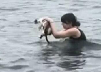 Η συγκινητική στιγμή που κοπέλα βουτάει στη θάλασσα για να σώσει ένα γατάκι