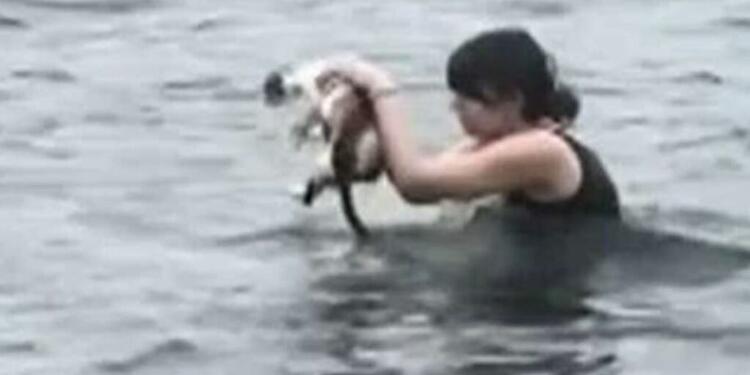 Η συγκινητική στιγμή που κοπέλα βουτάει στη θάλασσα για να σώσει ένα γατάκι