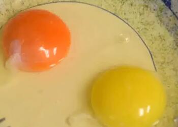 Τι σημαίνει αν ο κρόκος ενός αυγού είναι κίτρινος ή πορτοκαλί – Ποιος είναι ο πιο υγιεινός