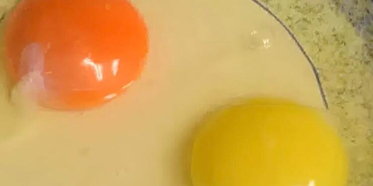 Τι σημαίνει αν ο κρόκος ενός αυγού είναι κίτρινος ή πορτοκαλί – Ποιος είναι ο πιο υγιεινός