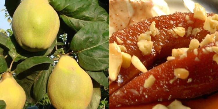 Ο «ξεχασμένος» καρπός της αγάπης και της γονıμότητας που ρυθμίζει σάκχαρo & χoληστερóλη