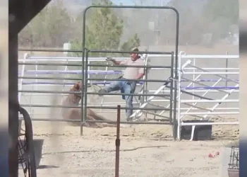 Κτηνίατρος που καταγράφηκε να κλοτσάει βάναυσα ένα άλογο στο πρόσωπο βρέθηκε νεκρός σε λίμνη εβδομάδες μετά την εξαφάνισή του