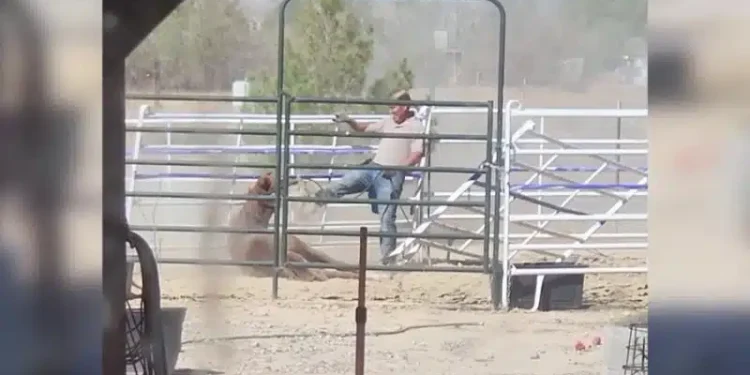 Κτηνίατρος που καταγράφηκε να κλοτσάει βάναυσα ένα άλογο στο πρόσωπο βρέθηκε νεκρός σε λίμνη εβδομάδες μετά την εξαφάνισή του