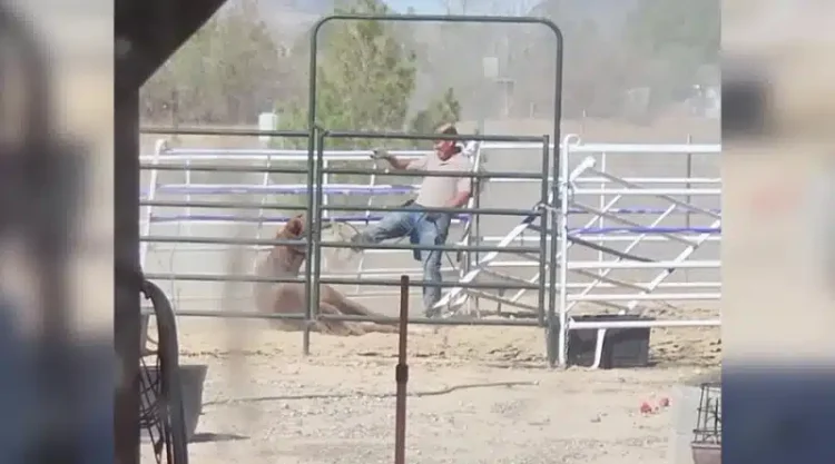 Κτηνίατρος που καταγράφηκε να κλοτσάει βάναυσα ένα άλογο στο πρόσωπο βρέθηκε νεκρός σε λίμνη εβδομάδες μετά την εξαφάνισή του