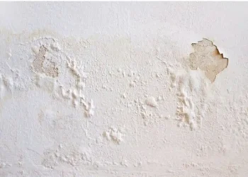 Πώς να αντιμετωπίσετε μουχλιασμένους, φουσκωμένους ή ξεφλουδισμένους τοίχους χωρίς να προσλάβετε επαγγελματία